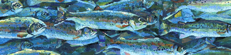 The trout run